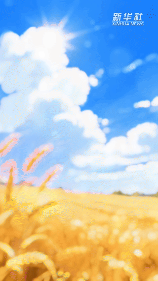 创意微视频|“三夏”大忙正当时 麦浪滚滚穗飘香