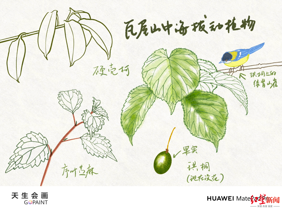 华为9.png