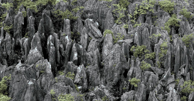 vivo X200 Ultra 影像评测:不输 Pocket 3,强到直接拍银河?