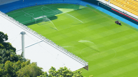 就在今天!第十五届全国运动会开幕!