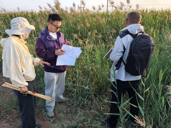 卫佳晨(左二)对天津津南小站稻种植系统进行实地调研(央广网发 天津农学院供图)