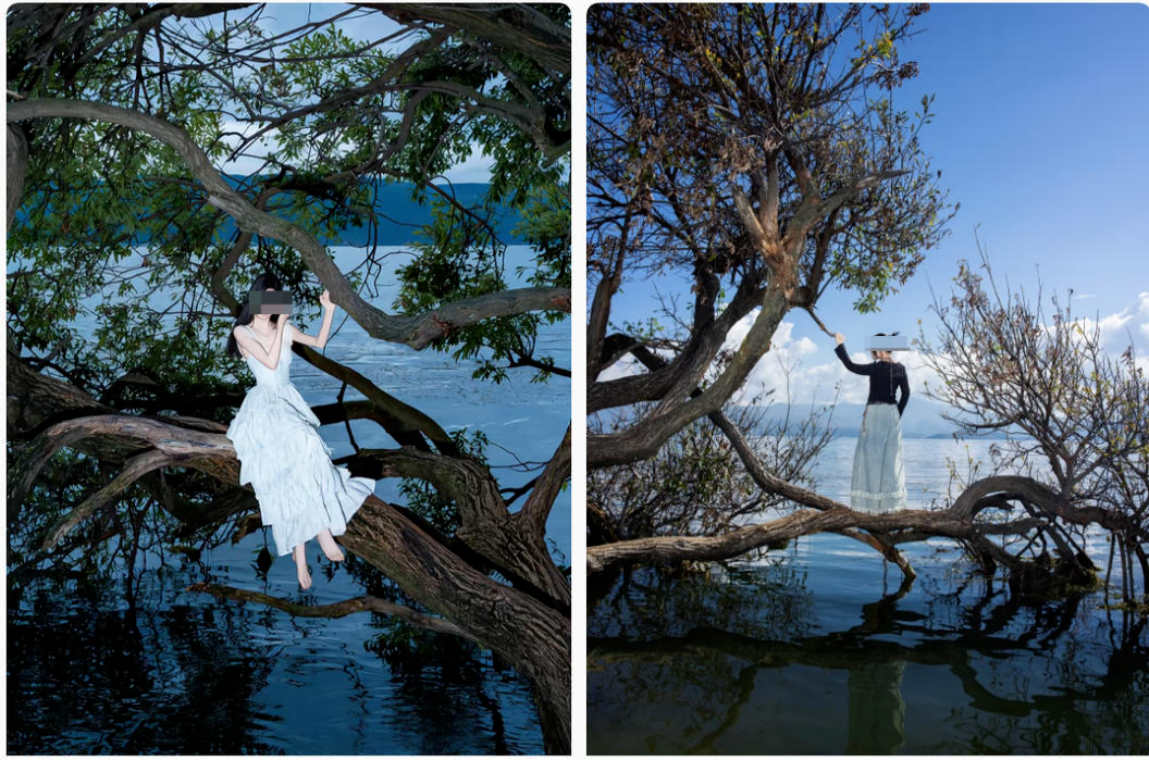 ▲游客打卡“歪脖子树”的照片