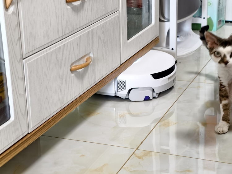 图源:不客观实验室