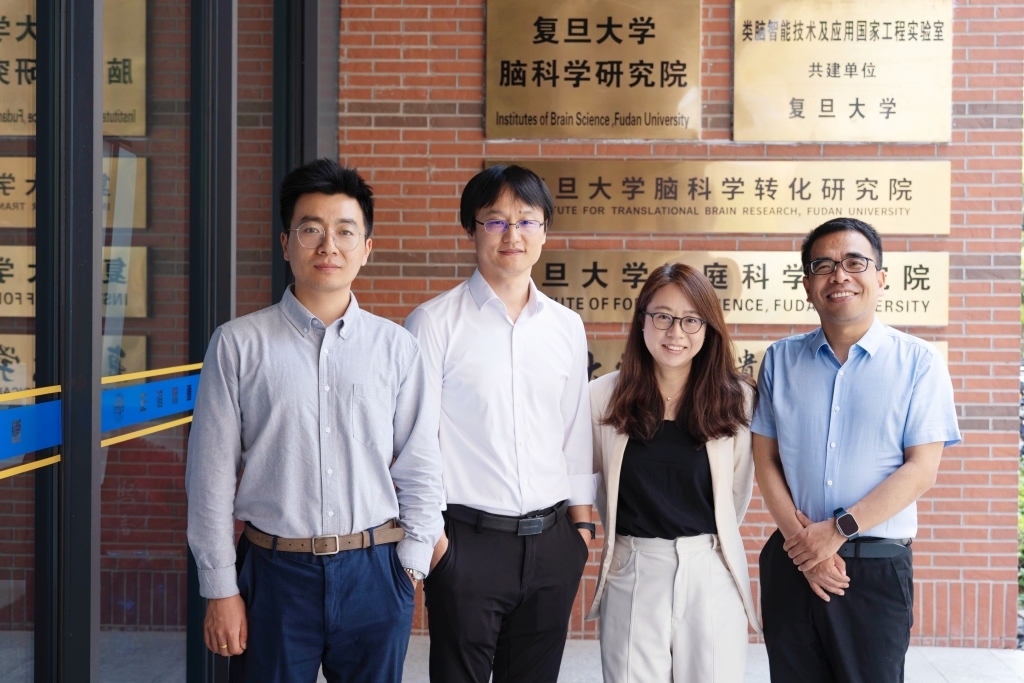 《科学》刊文!复旦科学家通过脑机接口,使失明动物恢复视觉功能