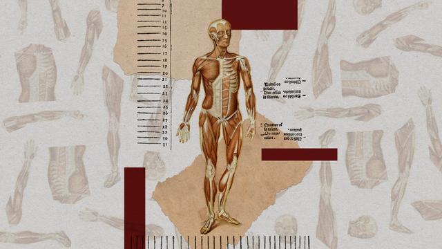 揭秘活体器官工厂:用自己细胞造备用身体算谋杀还是医学奇迹?