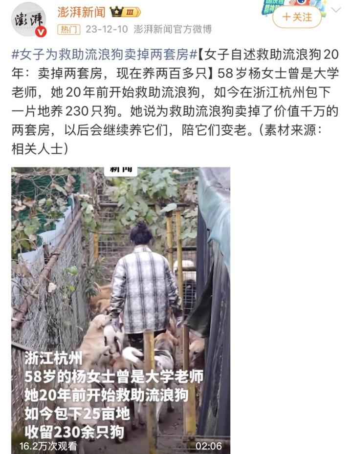 图源:微博@澎湃新闻