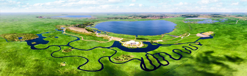 航拍扎龙国家级自然保护区。(中共齐齐哈尔市委宣传部供图)