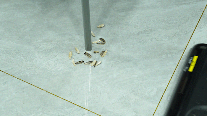 高效清洁与舒适体验的完美融合,MOVA M50 Ultra洗地机深度评测