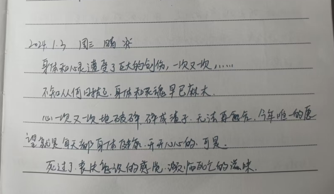 小卉的部分日记截图 图/受访者提供