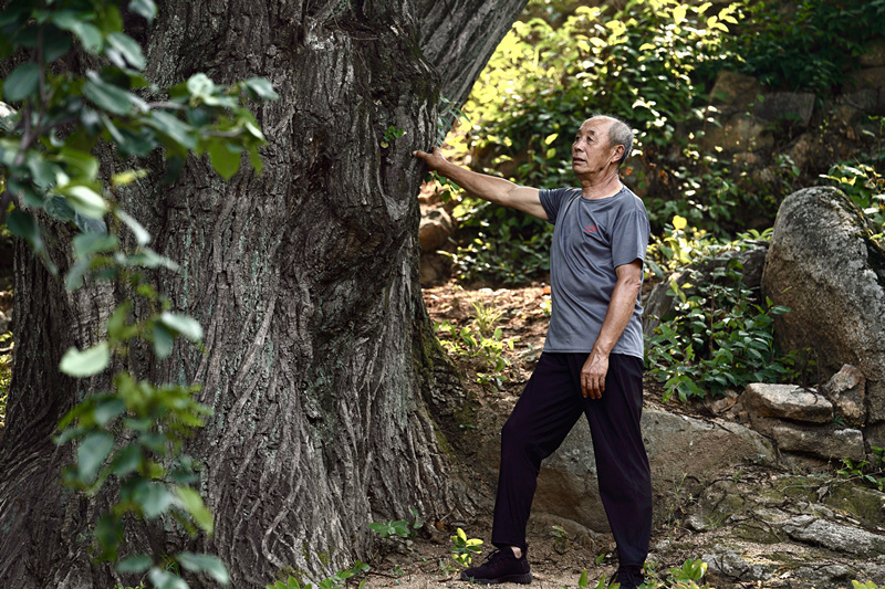花厂峪村民赵玉明讲述栗子树下的故事。