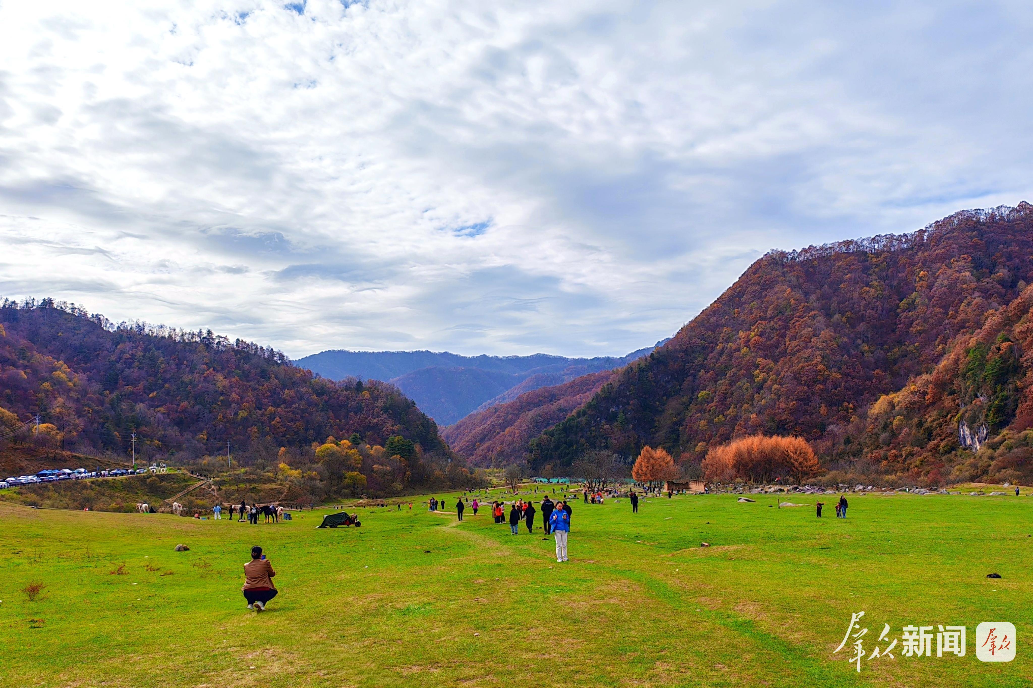 “一处美”→“全域美” 感受留坝和美乡村新图景