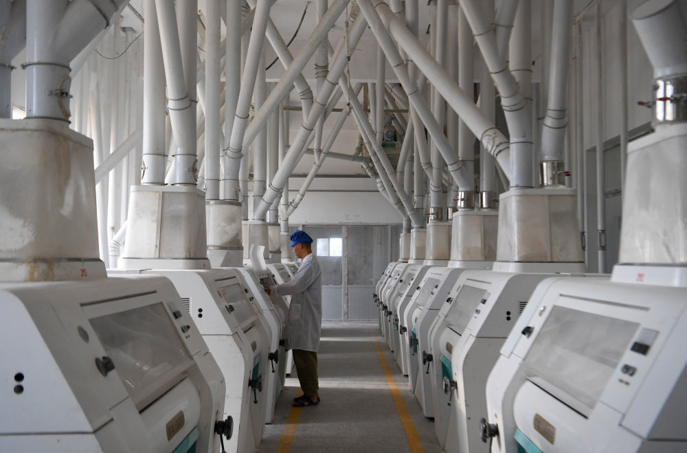 5月27日,在淮滨县海莲粮食加工有限责任公司,厂内设备轰鸣,正在加工弱筋小麦面粉。新华社记者 郝源 摄