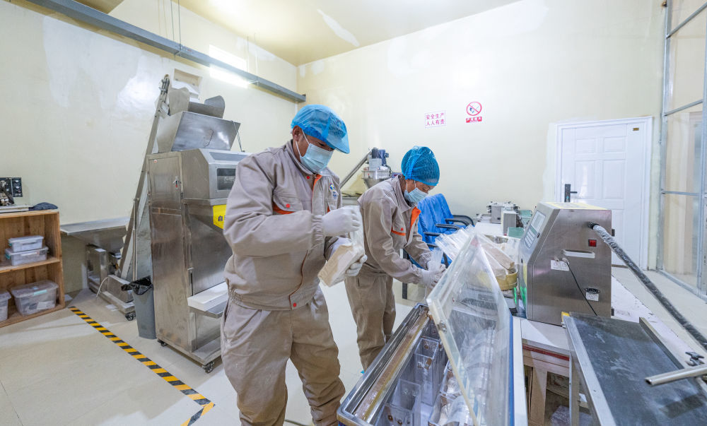 2025年3月7日，拉萨市堆龙德庆区古荣巴热糌粑有限公司员工在打包糌粑。新华社记者 丁增尼达 摄