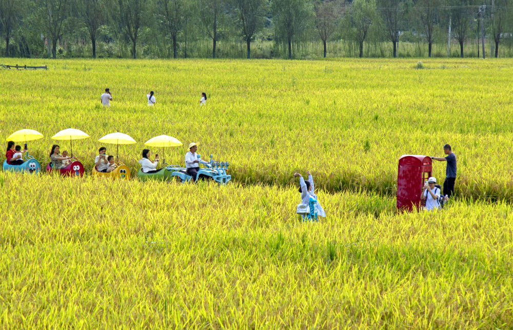 10月5日,游客在湖北省恩施市白果乡“塘里堂外”农文旅田园综合体游览。新华社发(谭华摄)