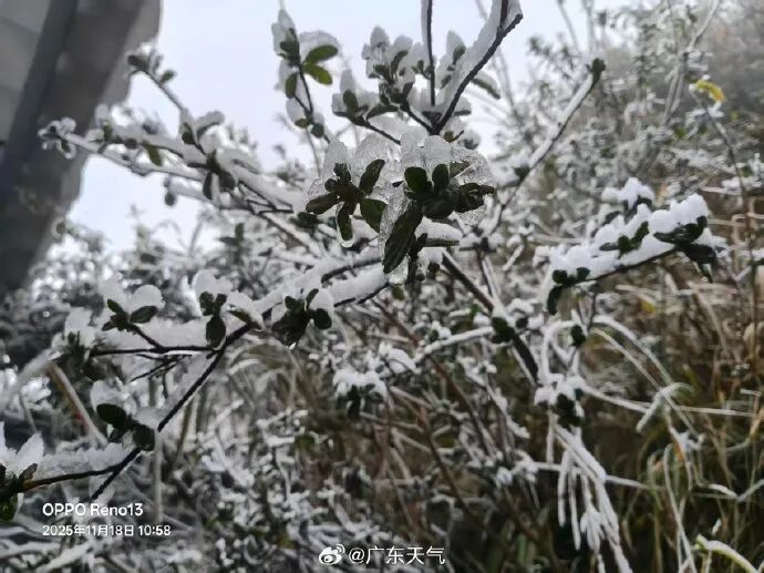 零下1度!广东结冰了