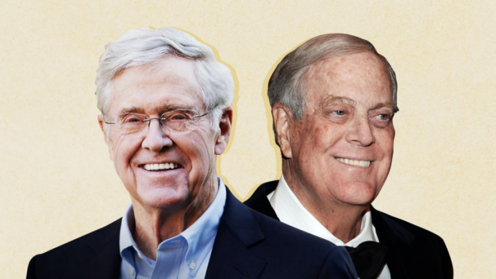 Koch network