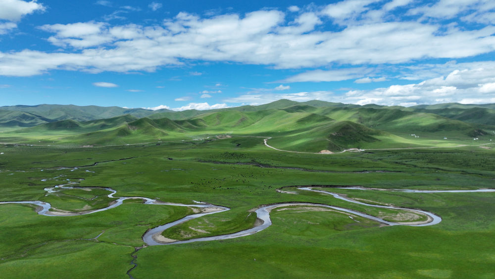 这是甘肃省甘南藏族自治州玛曲县阿万仓湿地景色(2023年7月6日摄,无人机照片)。新华社记者 陈斌 摄