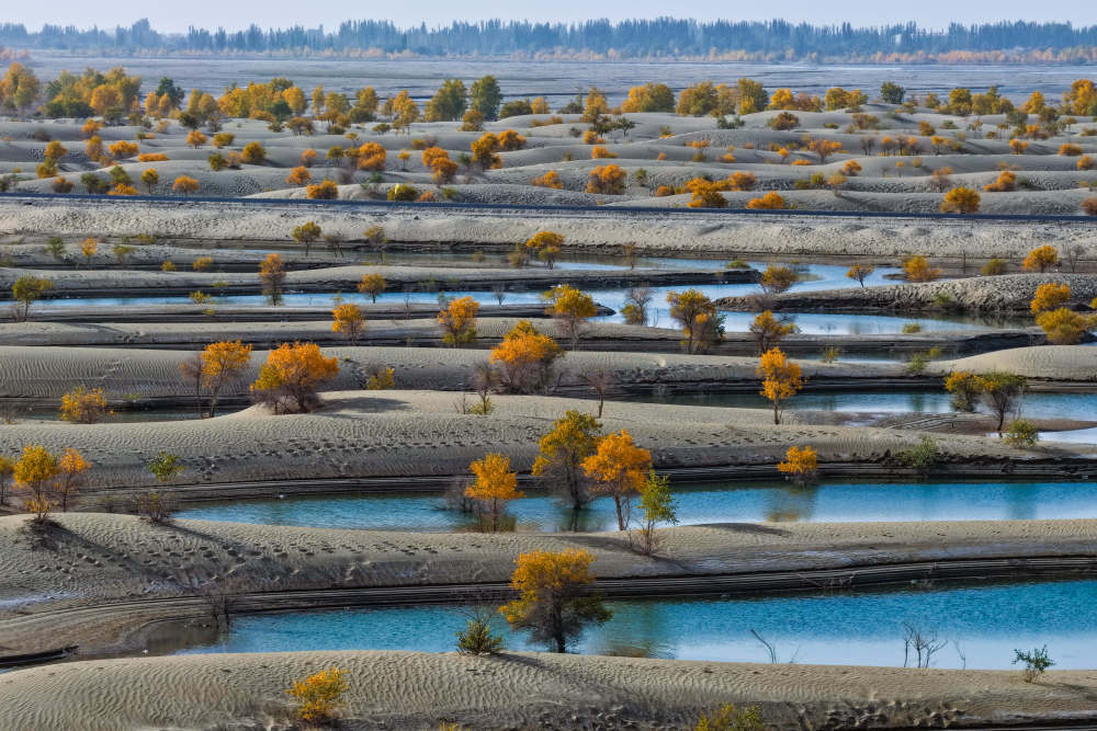 在新疆和田地区和田县翡翠湖,成片胡杨林坐落其中(无人机照片,10月20日摄)。新华社记者 辛悦卫 摄