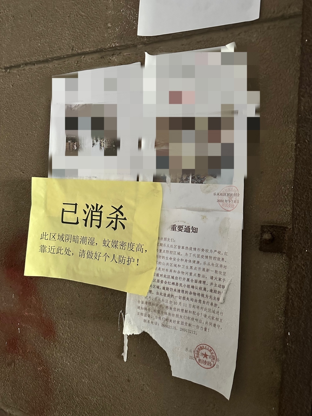 红棉片区多是老旧小区，是乐从社区病例较多的地方，墙上贴着“已消杀”。