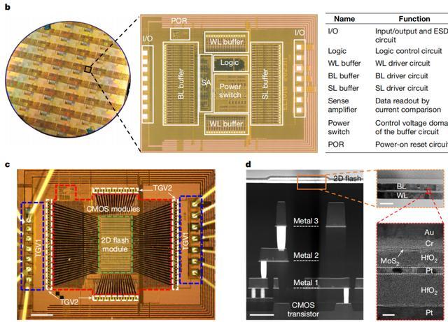 （来源：https://www.nature.com/articles/s41586-025-09621-8#citeas）