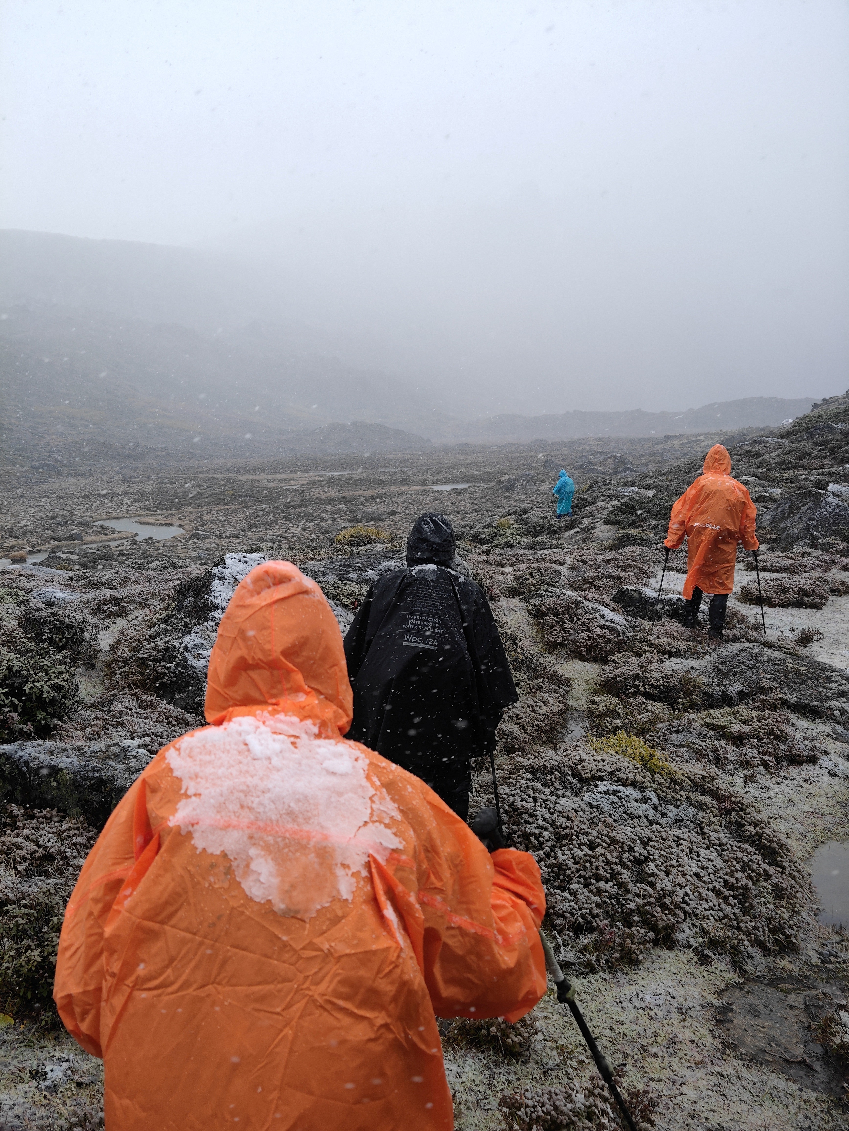 雪砸在徒步者身上。图源受访者:海子