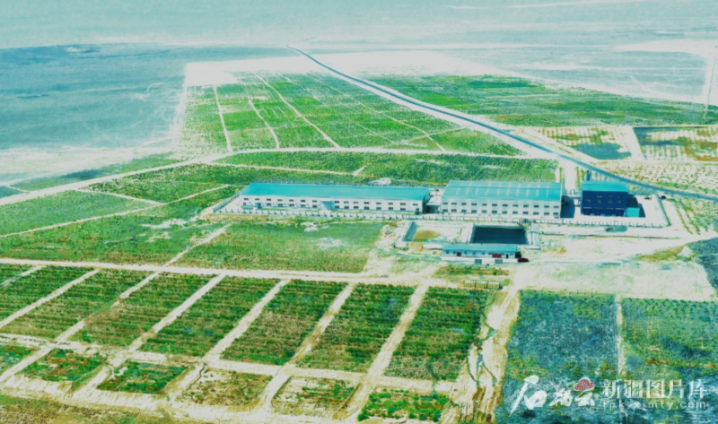 2024年7月的徐矿集团哈密能源有限公司大南湖5号煤矿绿化景观（资料图）。郭子毅摄