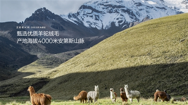 国产最强超豪华MPV 极氪009光辉典藏版亮相:用了3克24K纯金