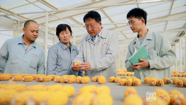 李登海和同事们在工作中