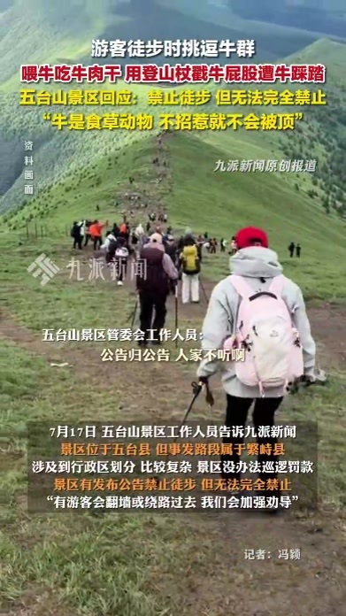 景区回应游客逗牛被踩踏：牛是食草动物，不招惹就不会被顶
