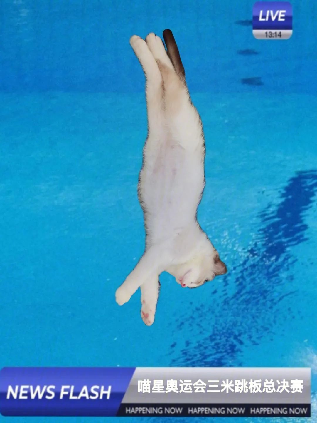 太爽了,去年买不起的24+1TB顶配,现在价格彻底崩了