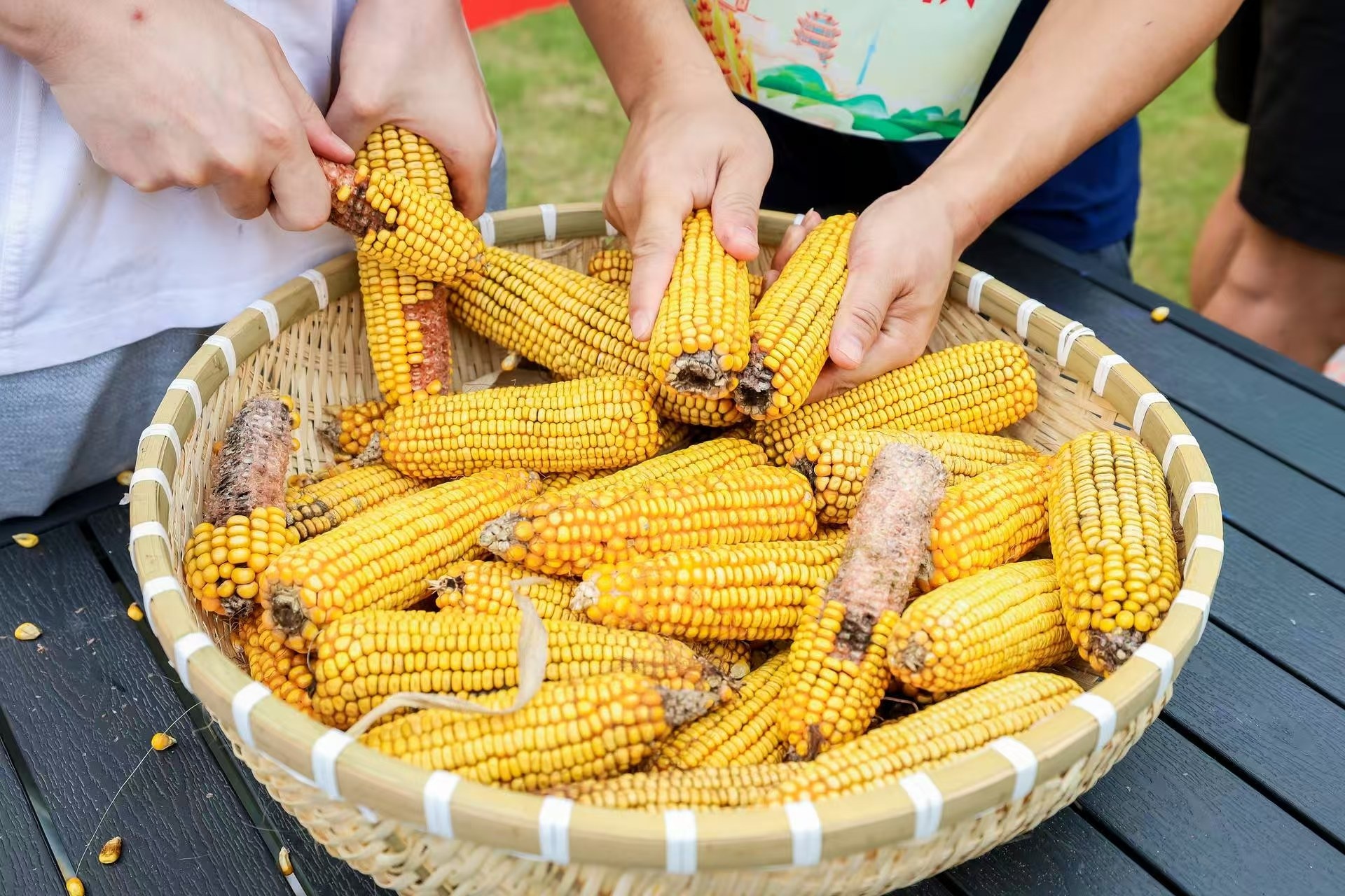 微信图片_20250923175106_272_137