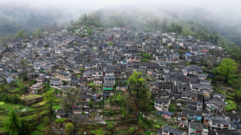 2025年3月30日，在广东省清远市连南瑶族自治县三排镇南岗村拍摄的云雾中的千年瑶寨。