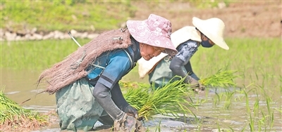 我国再添四处世界灌溉工程遗产(新时代画卷)