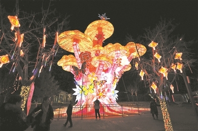 北京世园公园里,游客随处可以“邂逅”漂亮的花灯 摄影/本报记者 袁艺