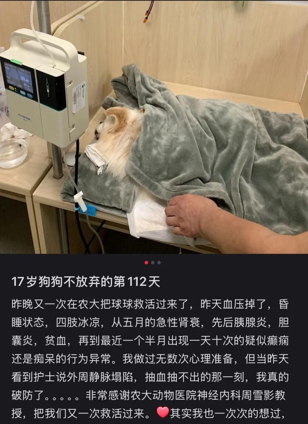 〓 图源小红书用户@每天都可以开心呀
