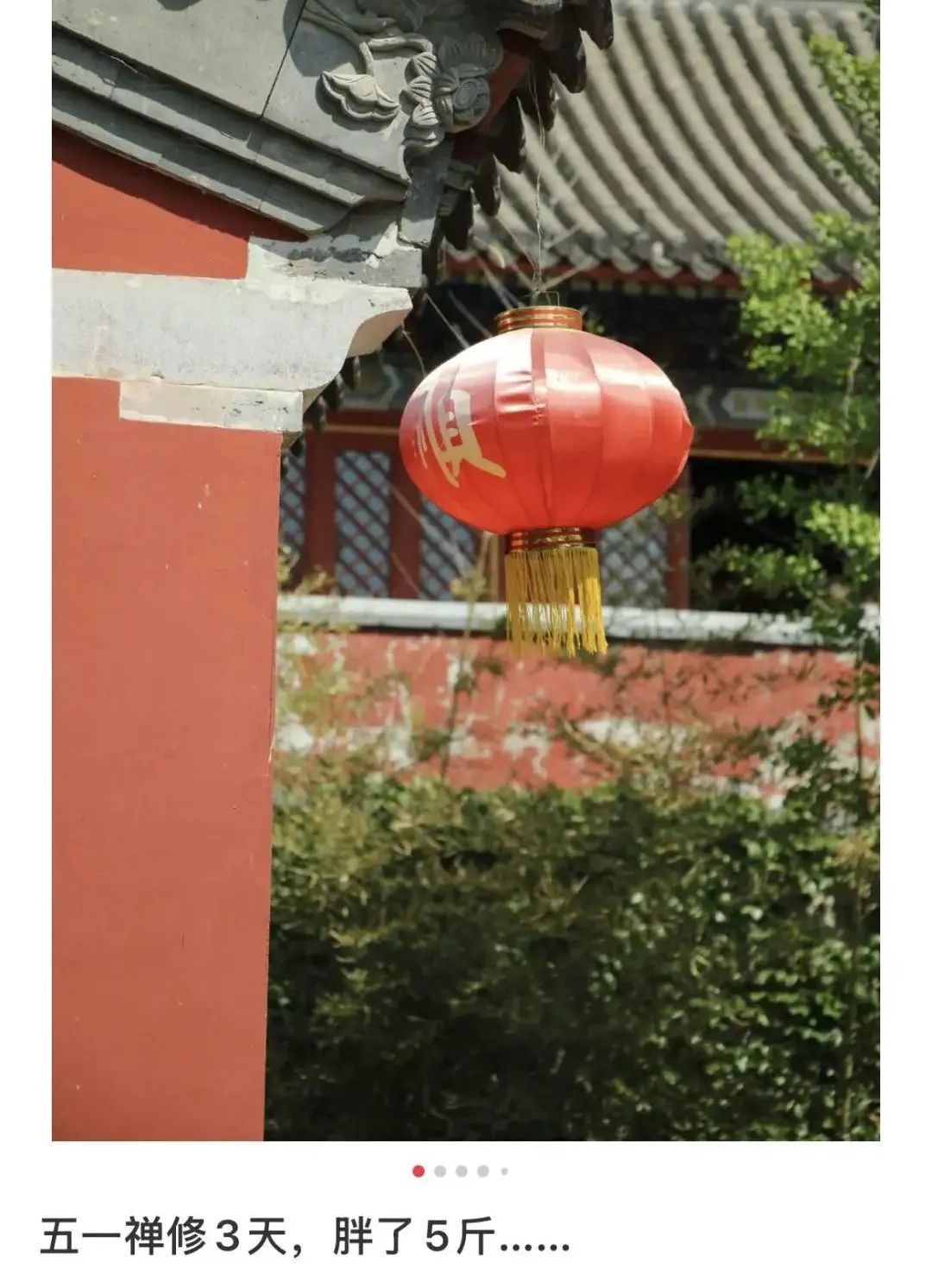〓 来源：小红书@好奇阳仔