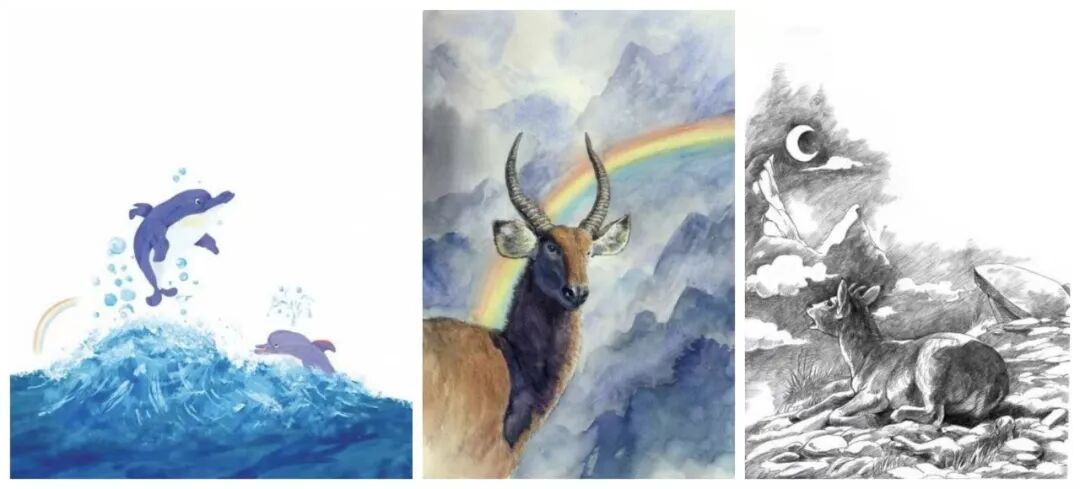 沈石溪手繪的插圖