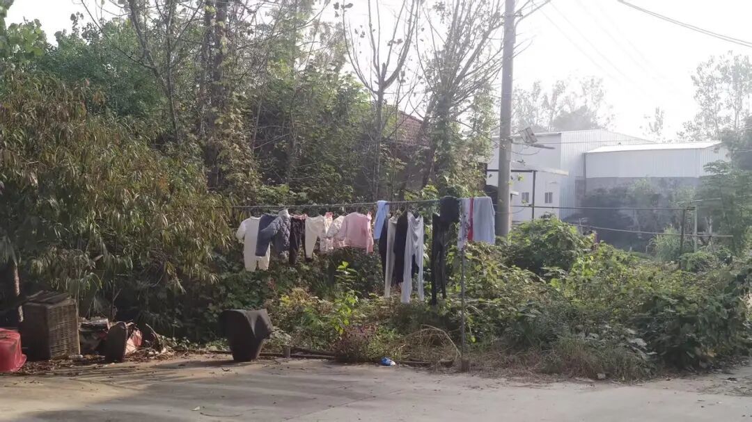 苏芳家门口的衣架上,晾着小婴儿的衣服