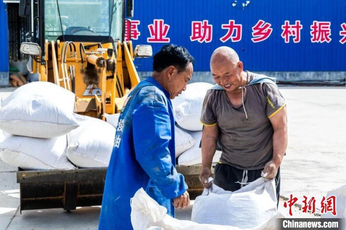 林下经济的发展带动周边民众家门口就业。　米鑫 摄