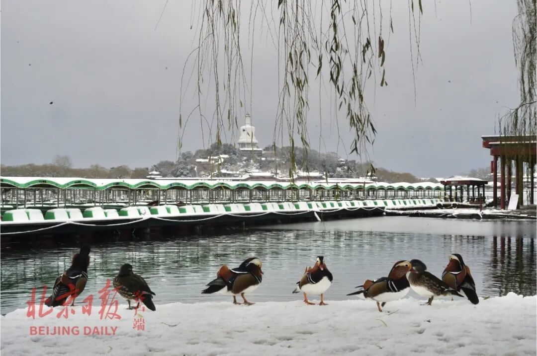 (资料图)北海公园雪景。北京日报记者 程功 摄