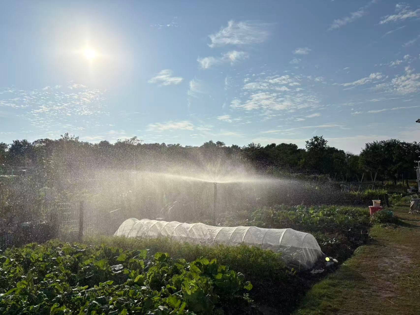 微信圖片_20251024223920_106_304