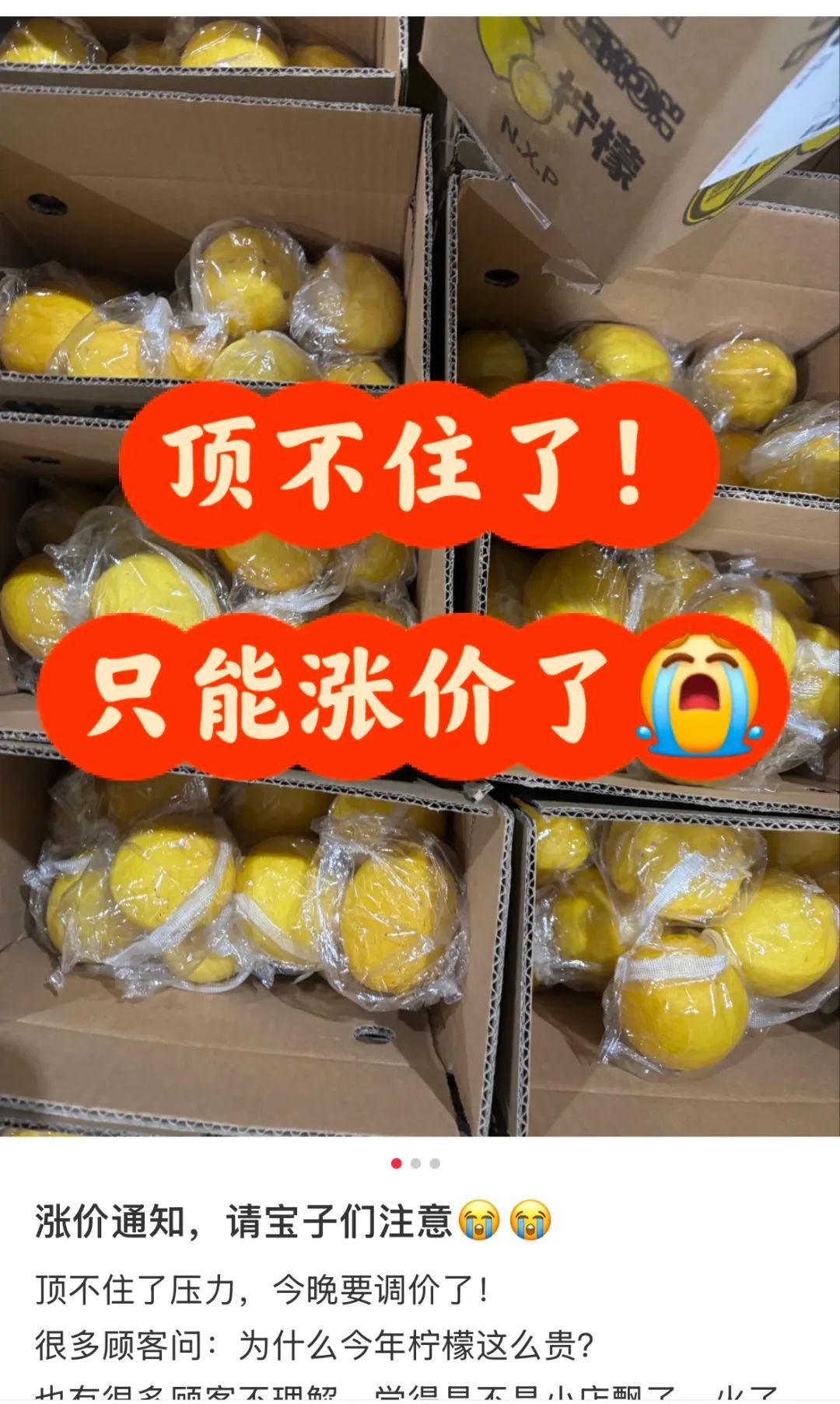 各商家纷纷上调柠檬价格。（图/社交媒体截图）