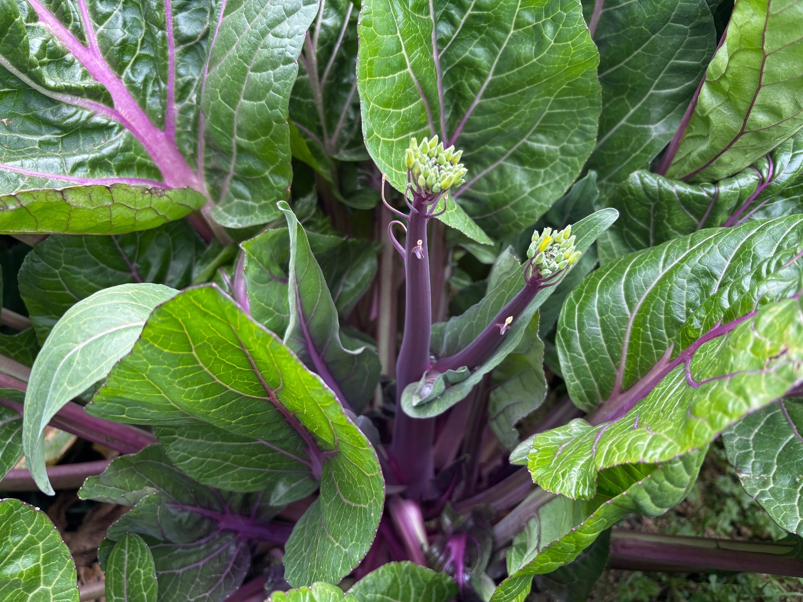 微信图片_20251216173127_983_345