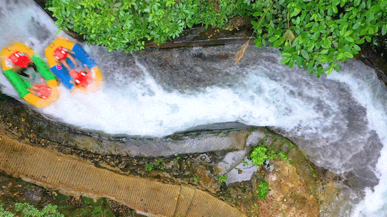 去粤港澳这篇就够了！最新指南