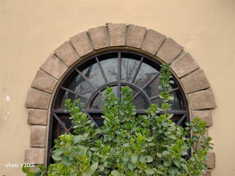 23.5小时霸榜续航榜!vivo Y300i体验评测:超高颜值的一款耐造神机