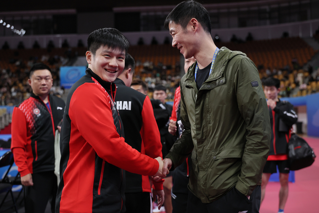 樊振东与王励勤。