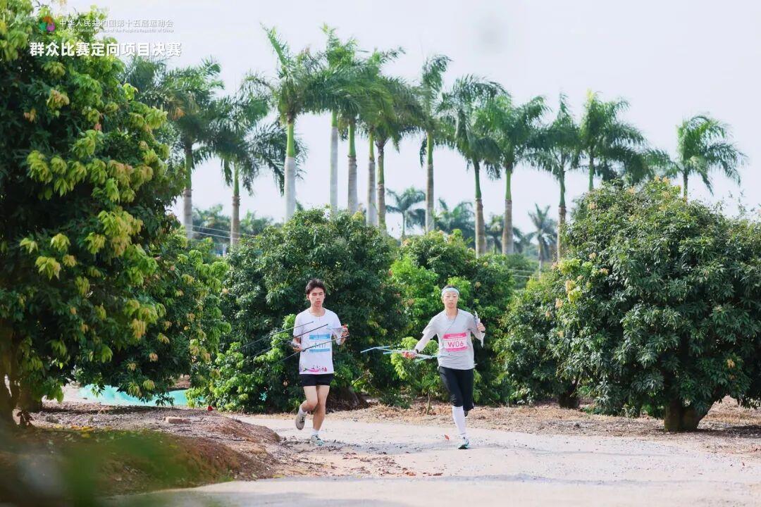 去粤港澳这篇就够了！最新指南