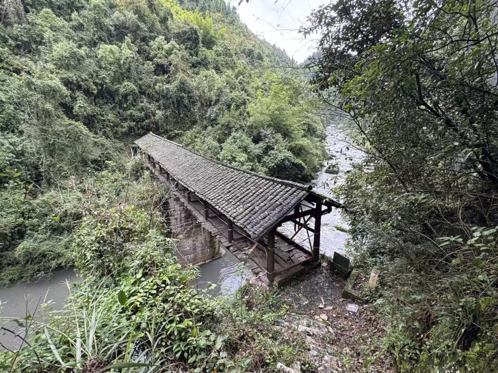 11月10日,孝子河水体发黑的情况依然存在。