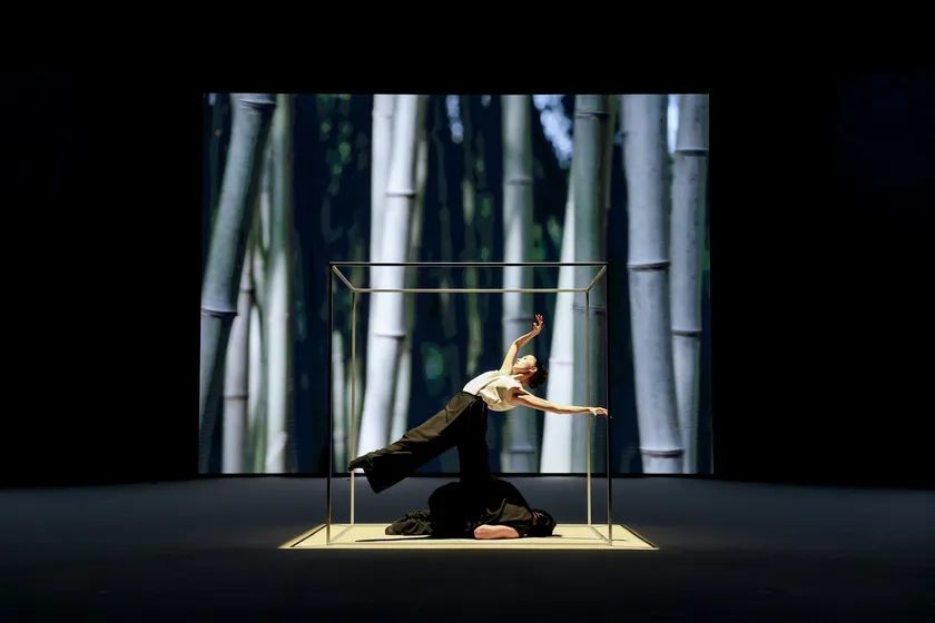 这场发布会,或将开启相机风格新赛道