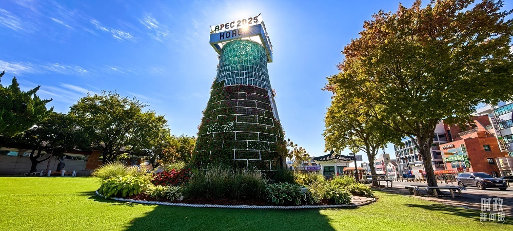 △庆州街头APEC主题花坛。（总台央视记者陈汉章拍摄）